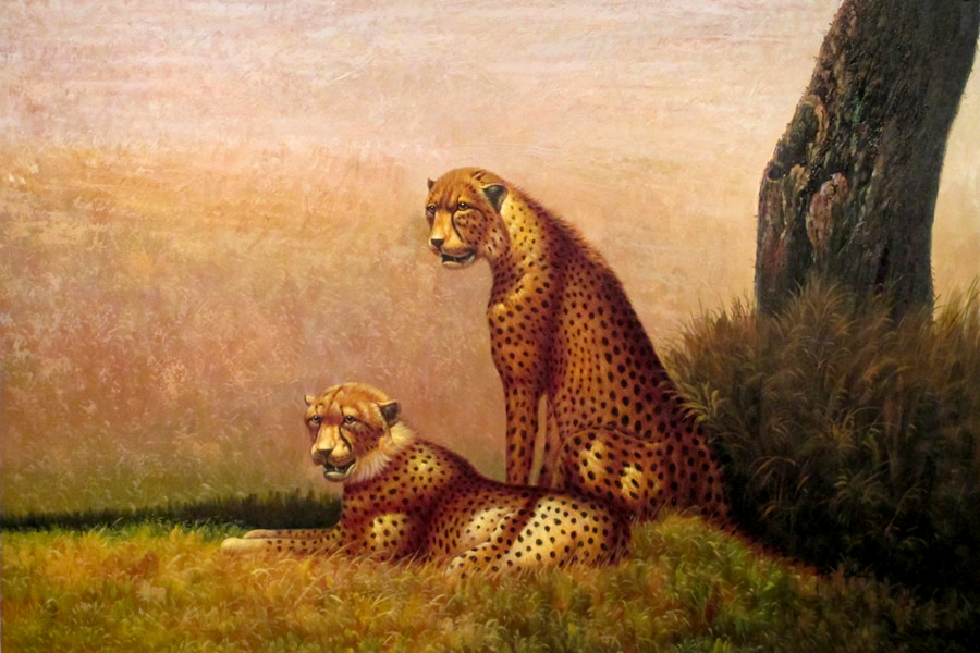 Leopard