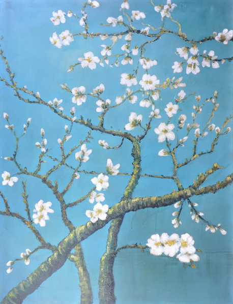 Flowers  by Larry Han 