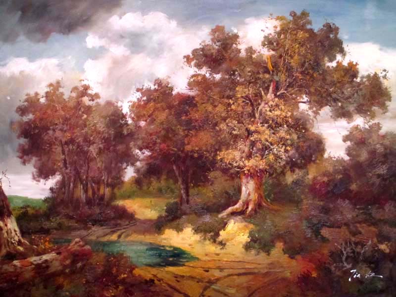 Landscape