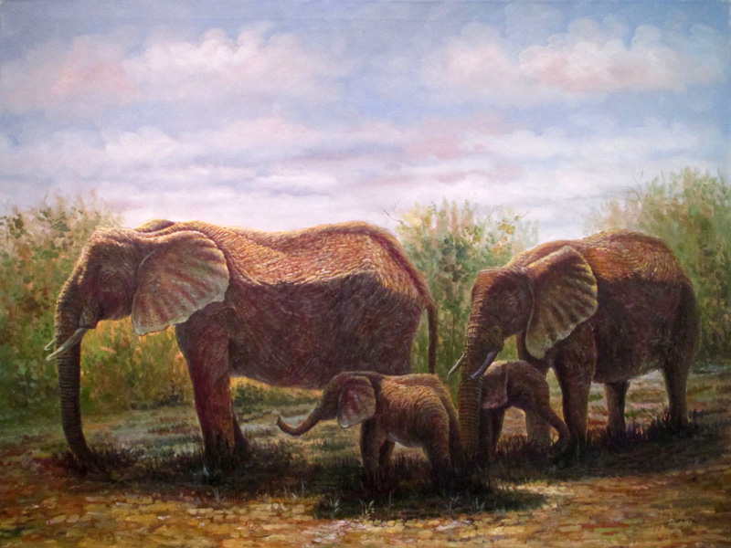Elephants  
