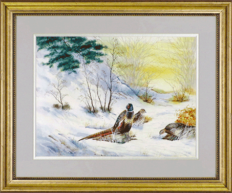 Birds  in Winter