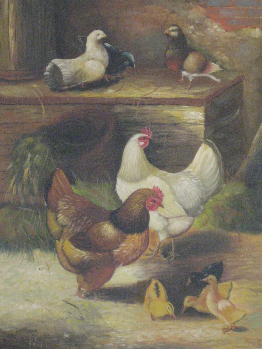 chicken,12x16 inches