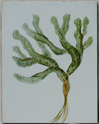 Plant By Nancy Le